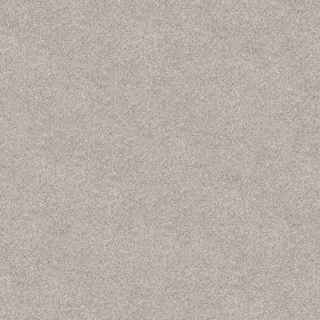 Splendour Carpet