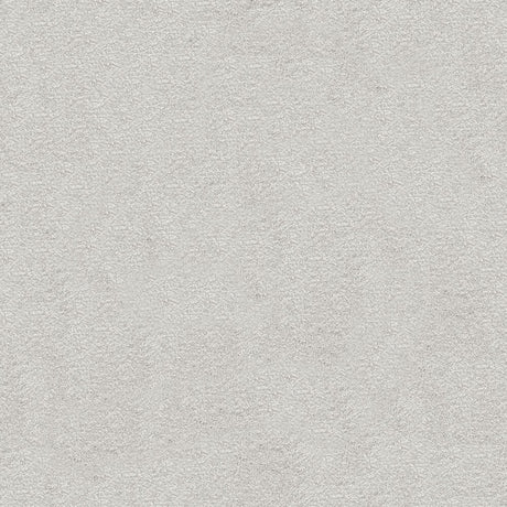 Splendour Carpet