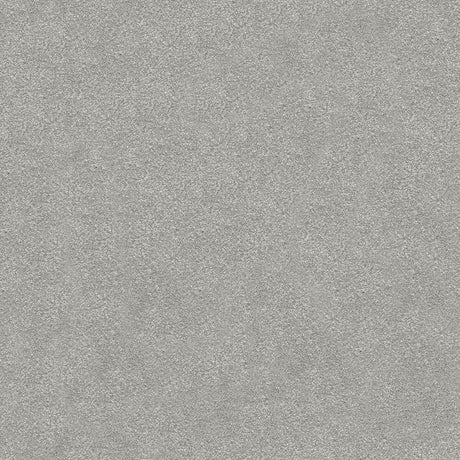 Splendour Carpet