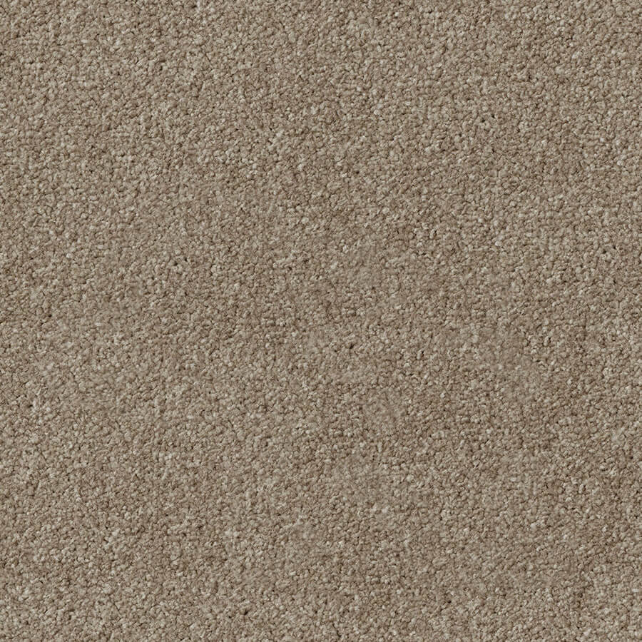 Apollo Plus Carpet