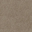 Apollo Plus Carpet