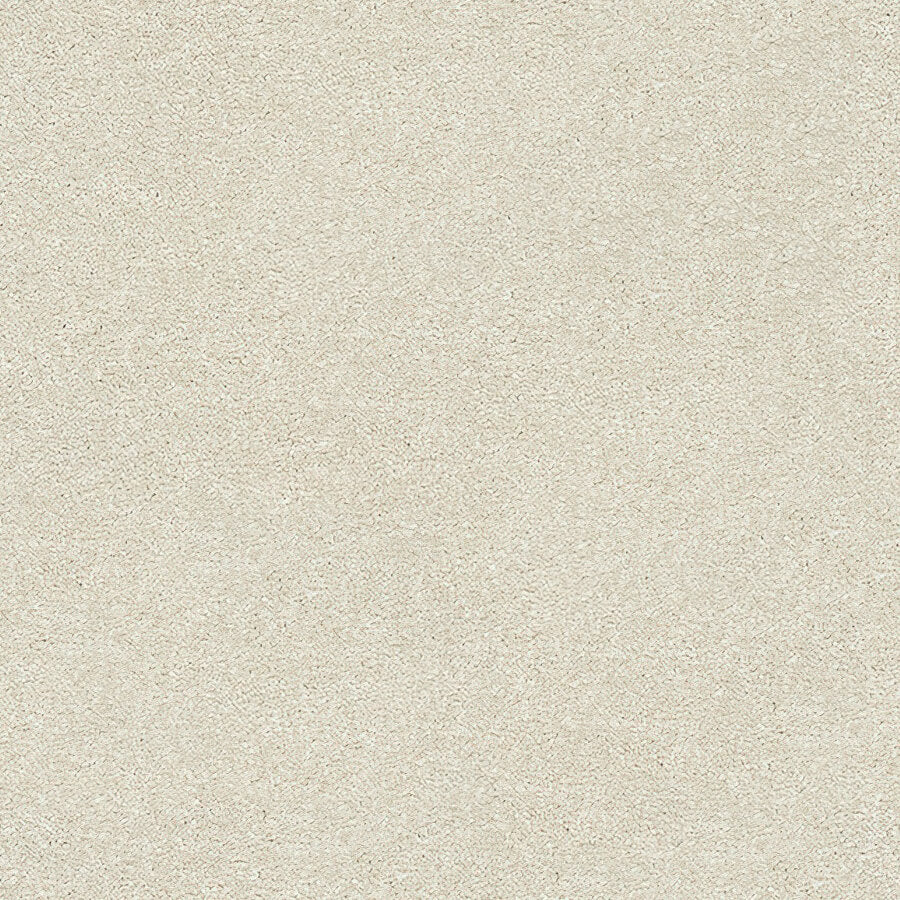 Stainfree Twist Carpet