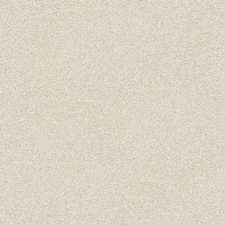 Stainfree Twist Carpet