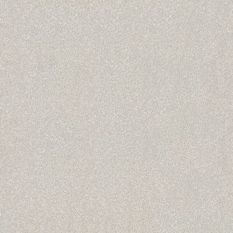 Stainfree Ultra Carpet