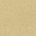 Royal Charter Deluxe Carpet