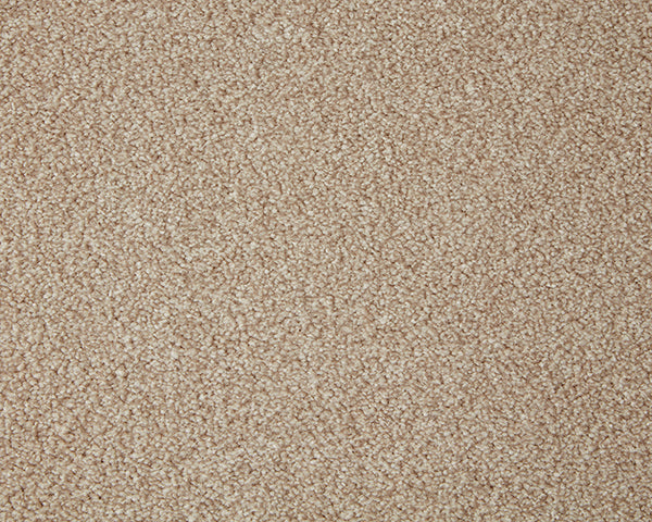 Primo Grande Carpet