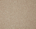 Primo Grande Carpet