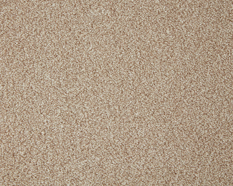 Primo Grande Carpet