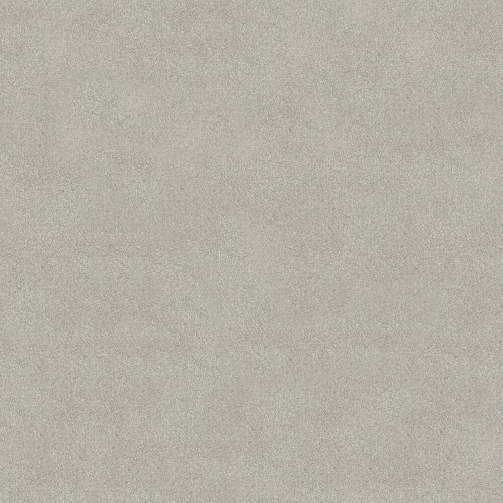 Subtlety Carpet