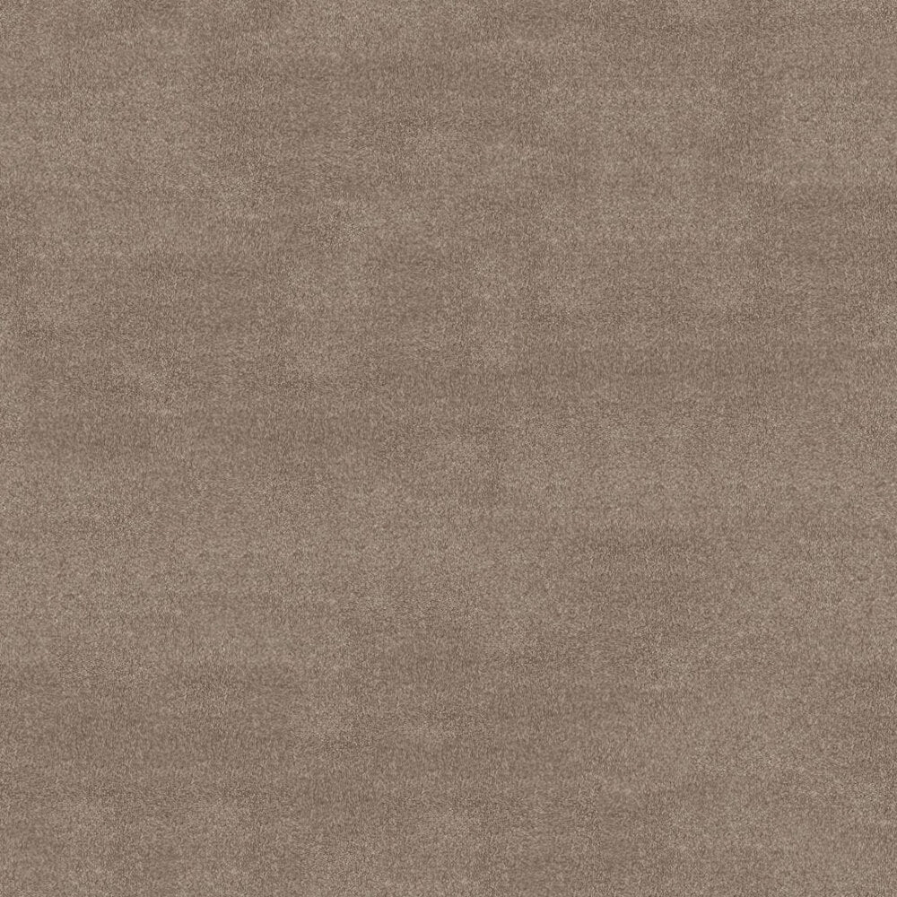 Subtlety Carpet