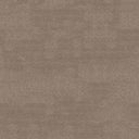 Subtlety Carpet
