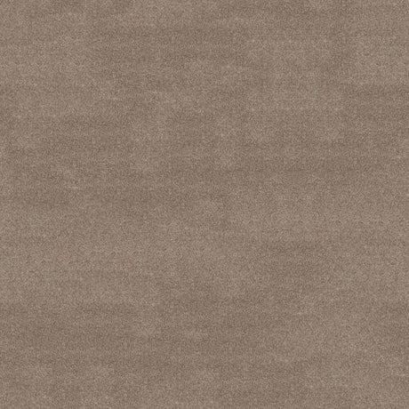 Subtlety Carpet