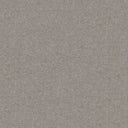 Subtlety Carpet