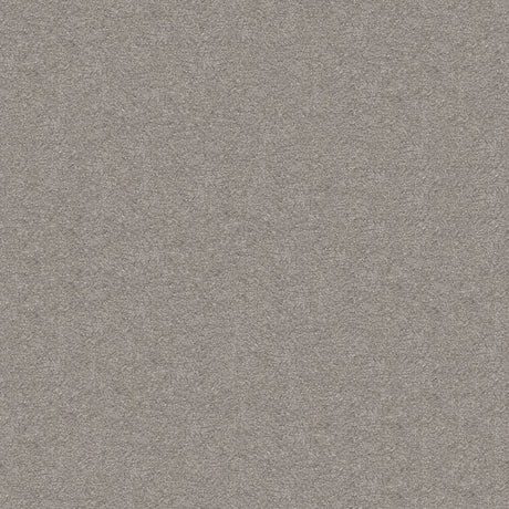 Subtlety Carpet
