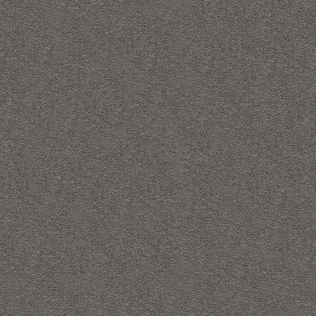 Subtlety Carpet