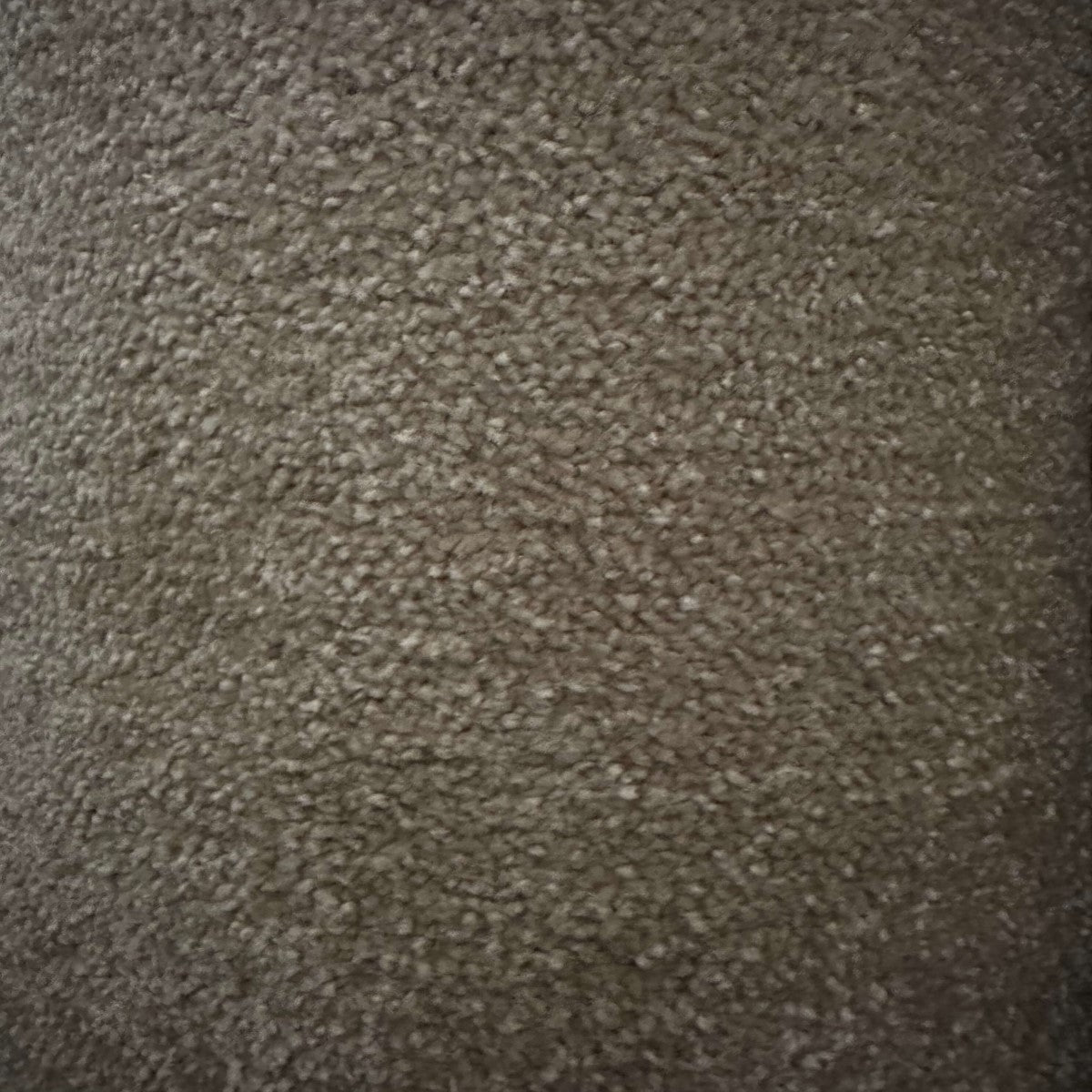 Summer 253 Dessert (4.90m x 4.00m) M016667