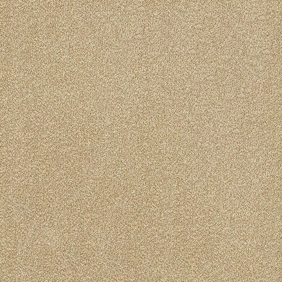 Stainfree Ultra Carpet