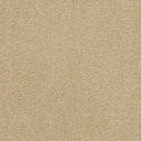 Stainfree Ultra Carpet