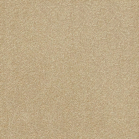 Stainfree Ultra Carpet
