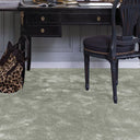 Surprise Carpet