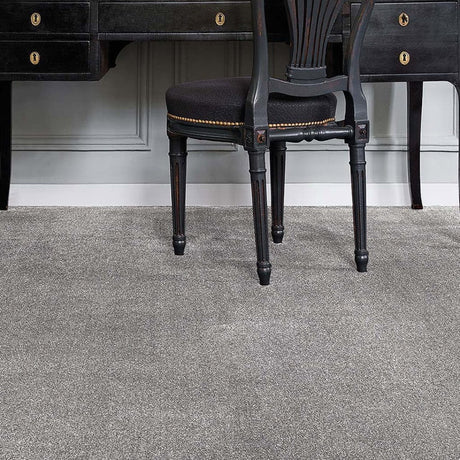 Surprise Carpet