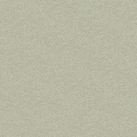 Suspense Carpet