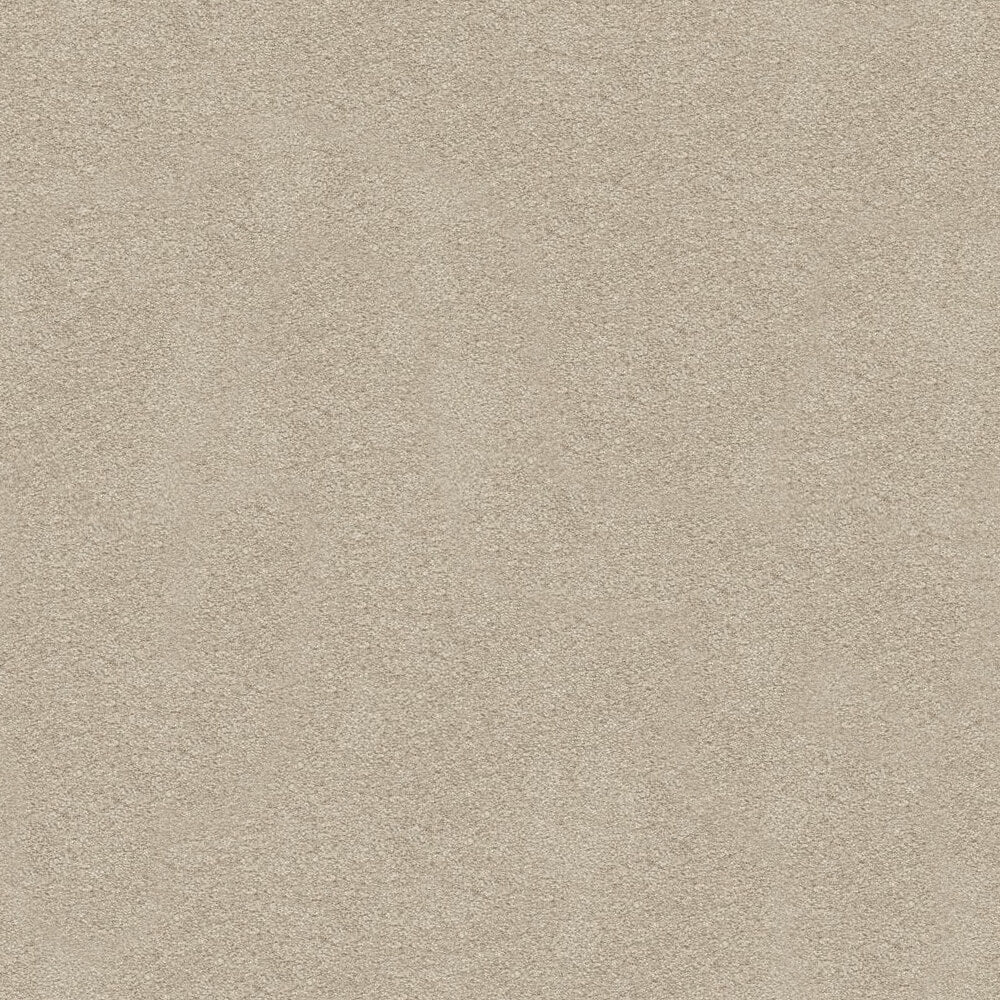 Suspense Carpet