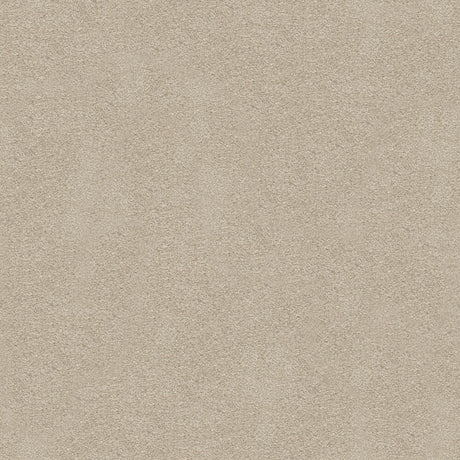 Suspense Carpet