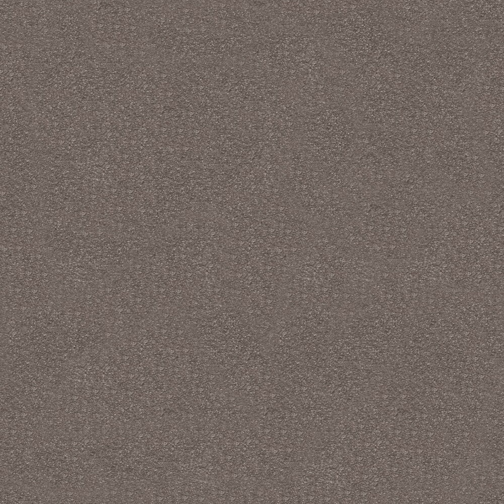 Suspense Carpet