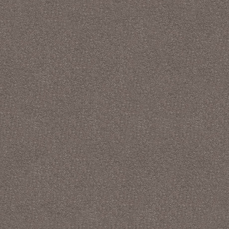 Suspense Carpet