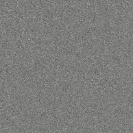 Suspense Carpet