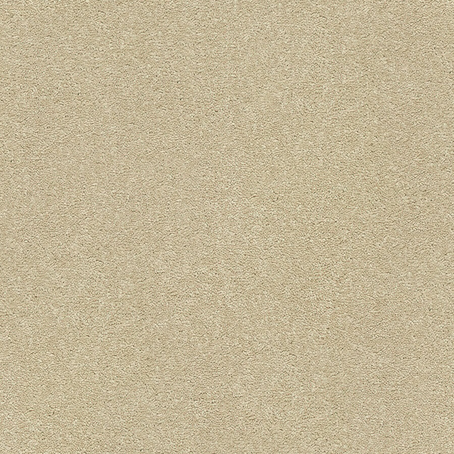 Stainfree Twist Carpet