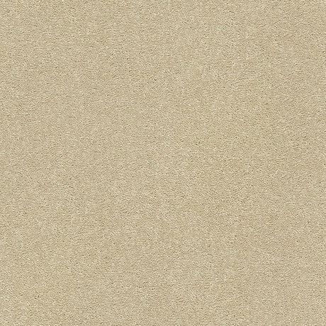 Stainfree Twist Carpet