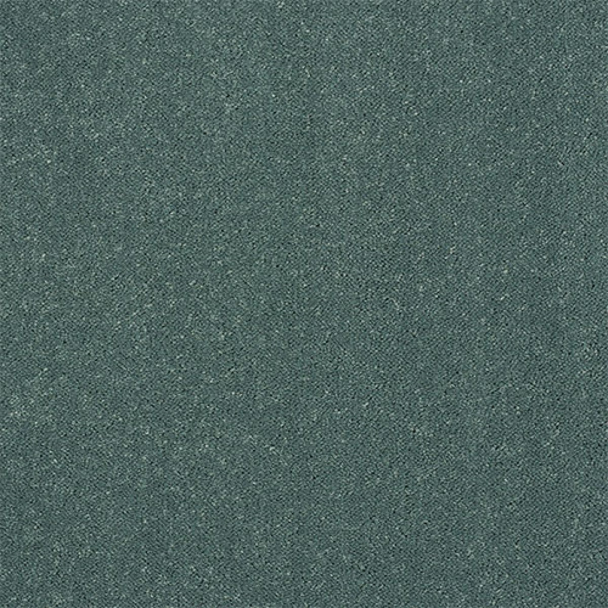 Captivation Carpet