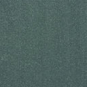 Captivation Carpet