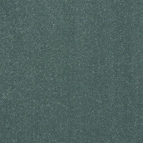 Captivation Carpet