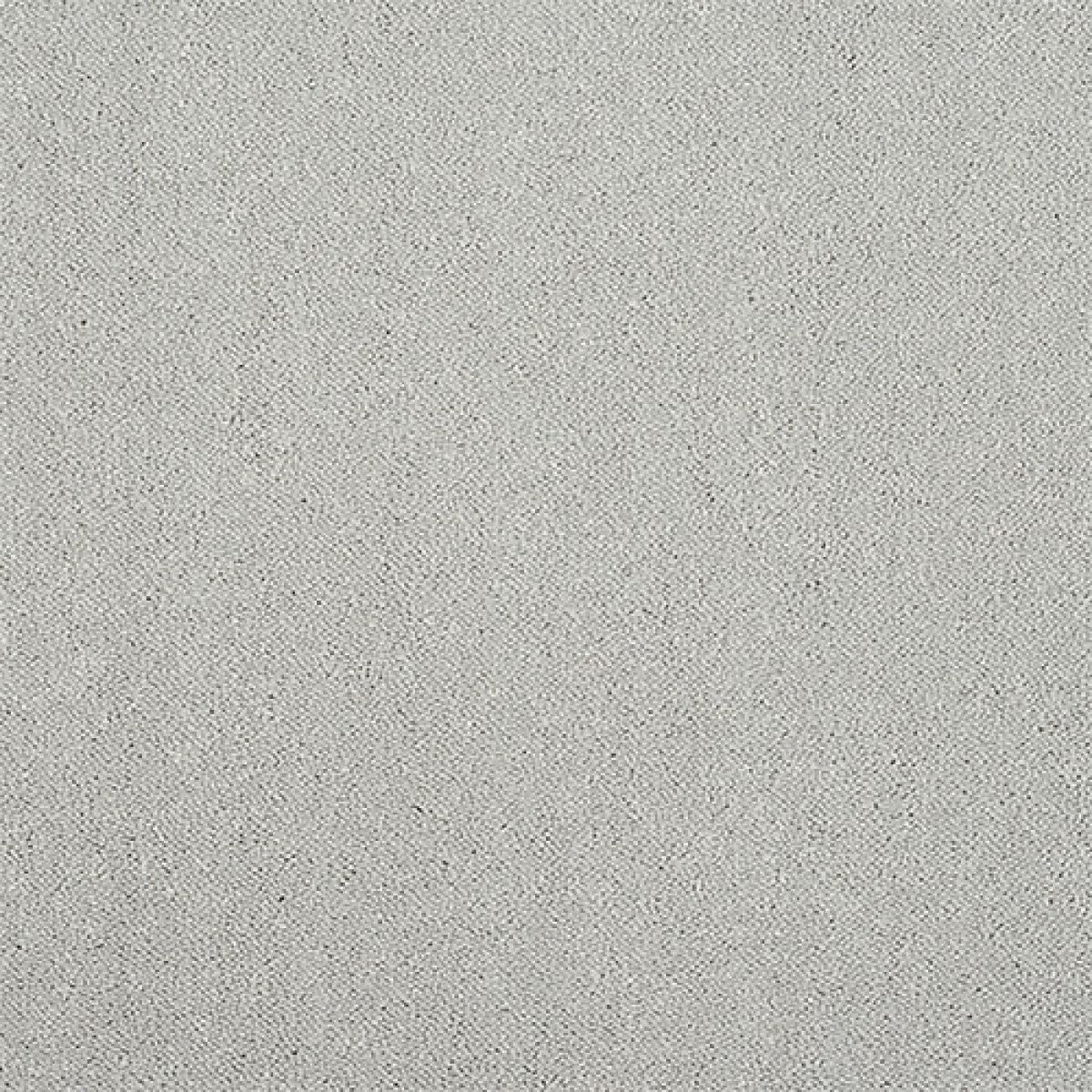 Captivation Carpet