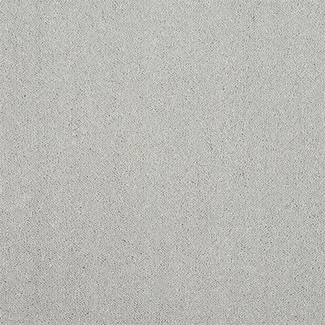 Captivation Carpet
