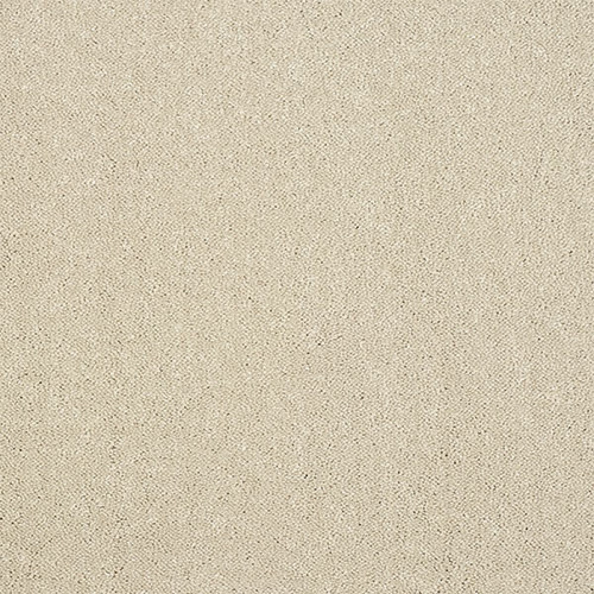 Captivation Carpet