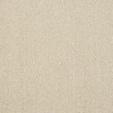 Captivation Carpet
