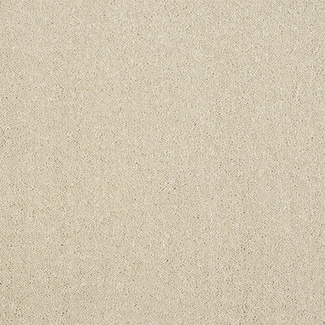Captivation Carpet