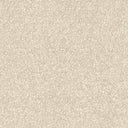 Twilight Saxony Carpet