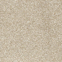 Twilight Saxony Carpet