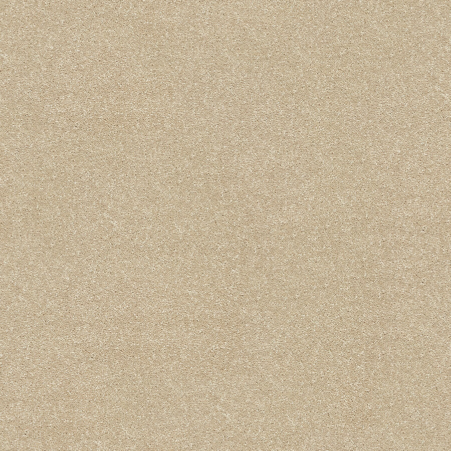 Stainfree Twist Carpet