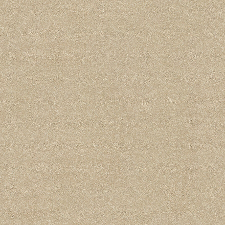 Stainfree Twist Carpet