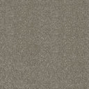 Stainfree Twist Carpet