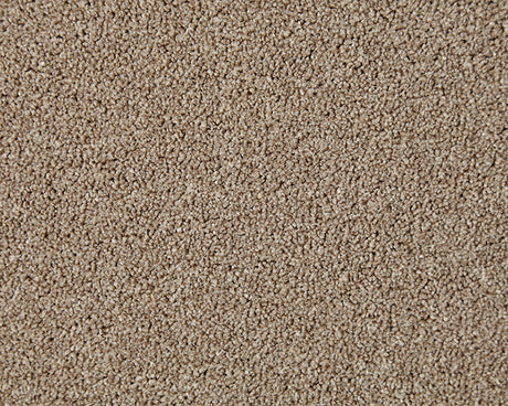 Primo Naturals Carpet