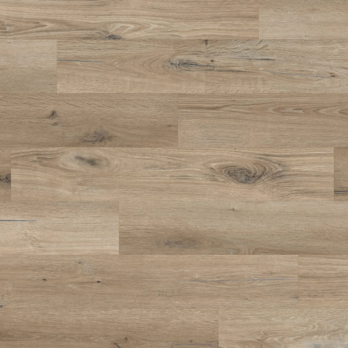 Karndean Knight Tile Gluedown Washed Character Oak KP144