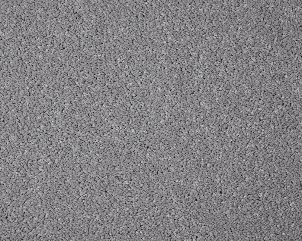 Primo Grande Carpet