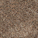 Regal Carpet